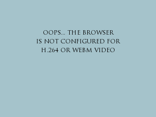 browser not showing video